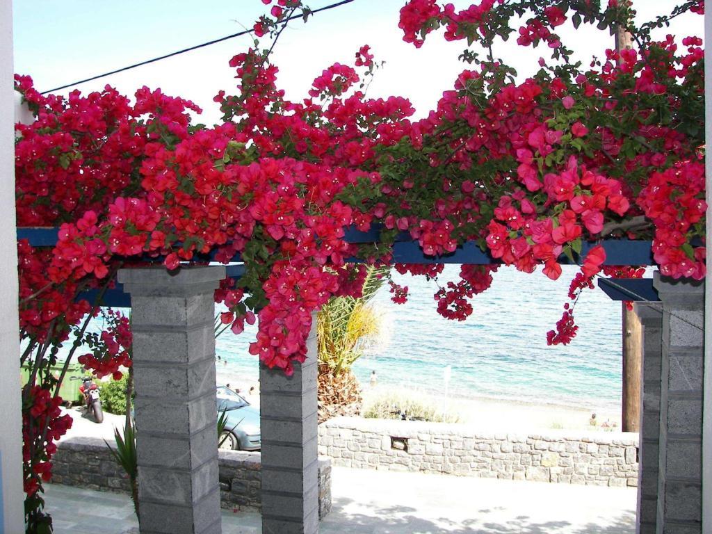 Theoxenia Chios * Paralia Agias Foteinis