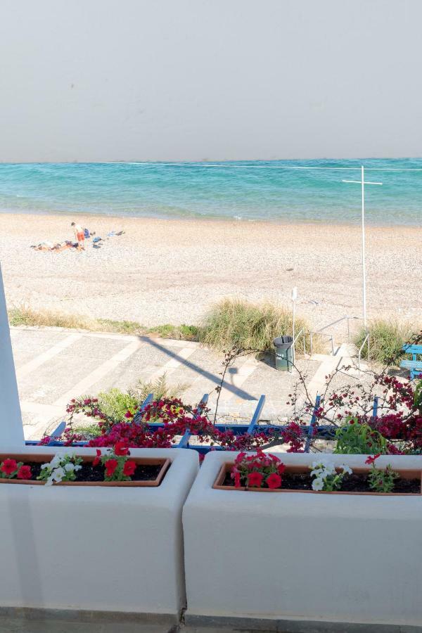 Apartment Theoxenia Chios
