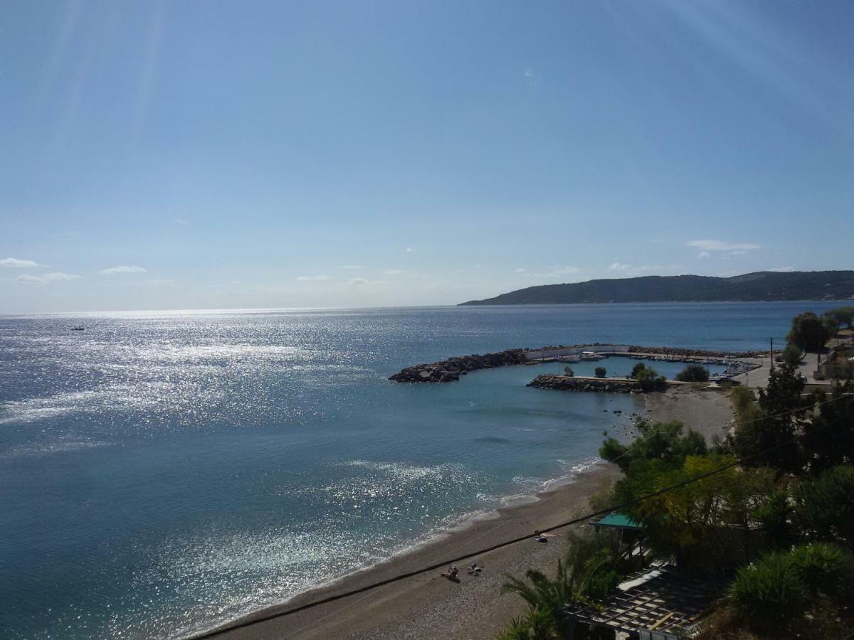 Theoxenia Chios *